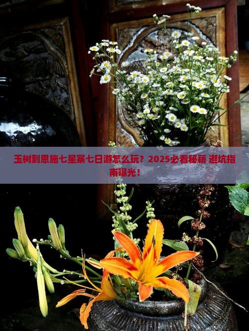 玉树到恩施七星寨七日游