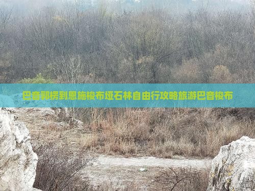 巴音郭楞到恩施梭布垭石林自由行