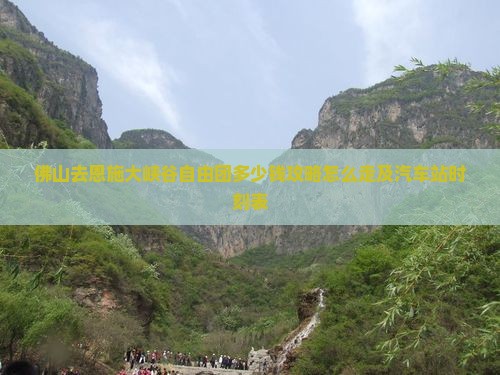 佛山去恩施大峡谷自由团