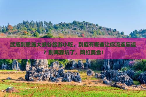 武威到恩施大峡谷旅游小吃