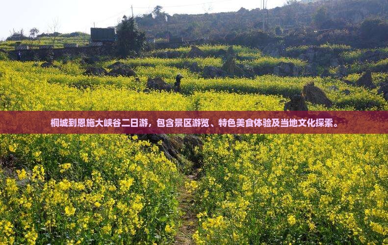 桐城到恩施大峡谷二日游