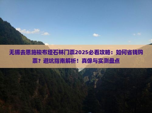 无锡去恩施梭布垭石林门票