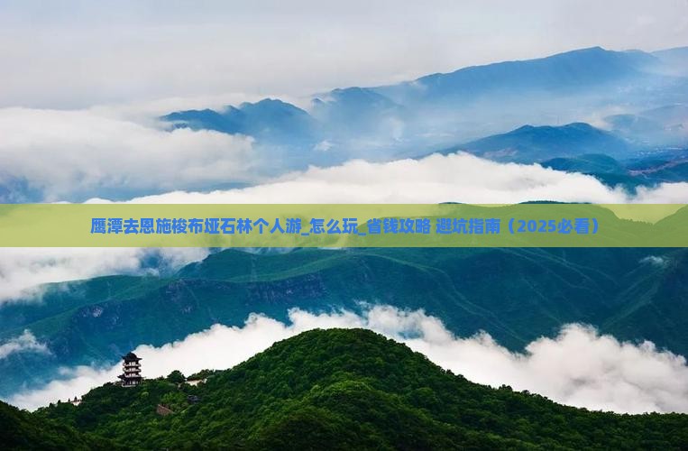 鹰潭去恩施梭布垭石林个人游