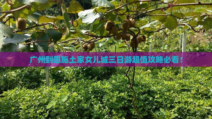 广州到恩施土家女儿城三日游