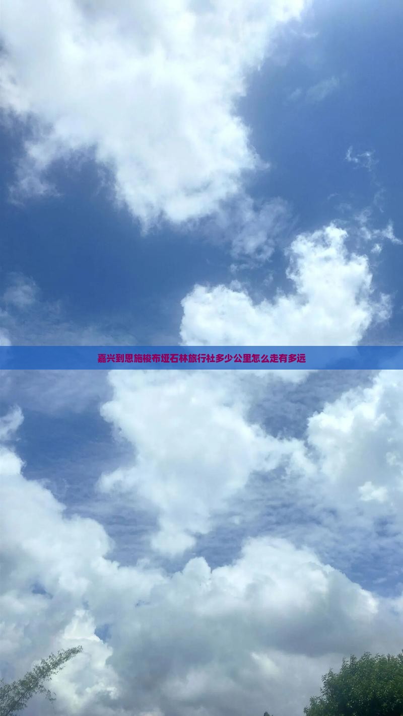 嘉兴到恩施梭布垭石林旅行社