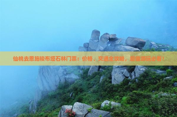 仙桃去恩施梭布垭石林门票