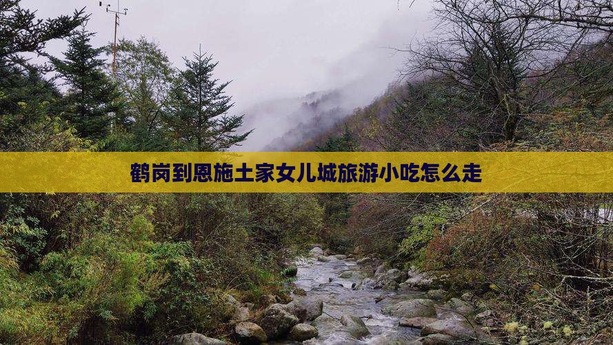 鹤岗到恩施土家女儿城旅游小吃