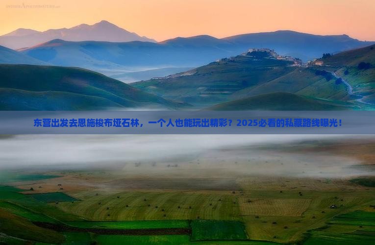 东营去恩施梭布垭石林个人游