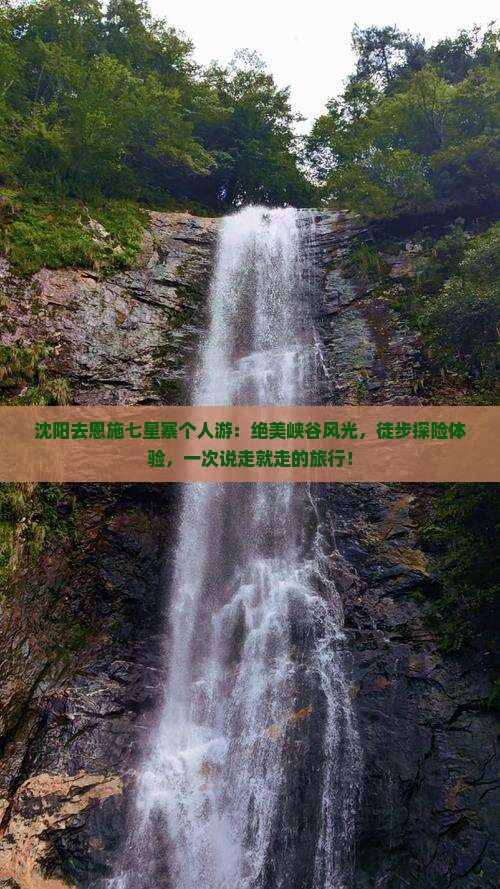 沈阳去恩施七星寨个人游
