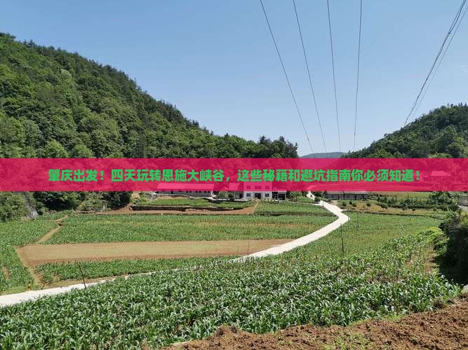 肇庆去恩施大峡谷四日游 肇庆去恩施大峡谷四日游
