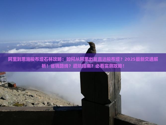 阿里到恩施梭布垭石林攻略