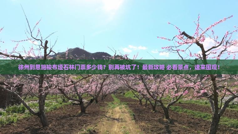 徐州到恩施梭布垭石林门票