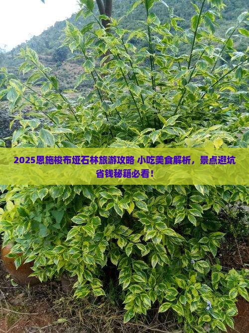 吕梁去恩施梭布垭石林旅游小吃