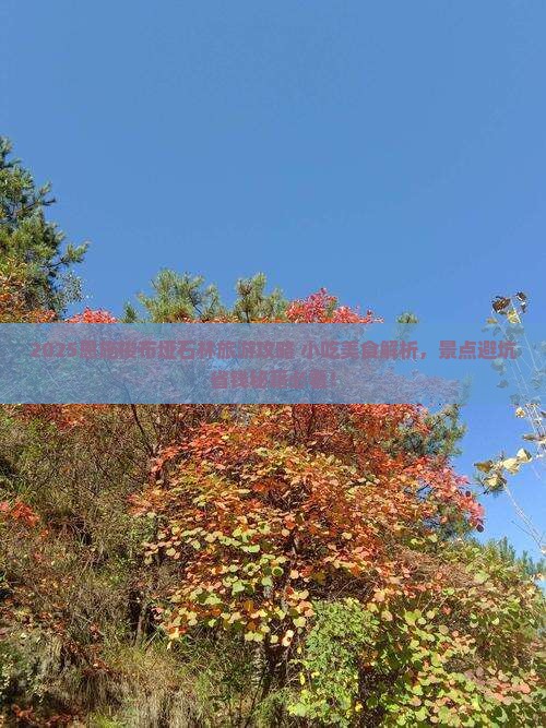 吕梁去恩施梭布垭石林旅游小吃
