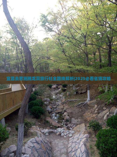 宜昌去恩施腾龙洞旅行社
