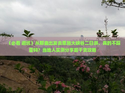 那曲去恩施大峡谷二日游