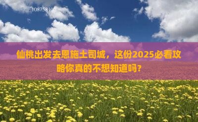 仙桃去恩施土司城二日游