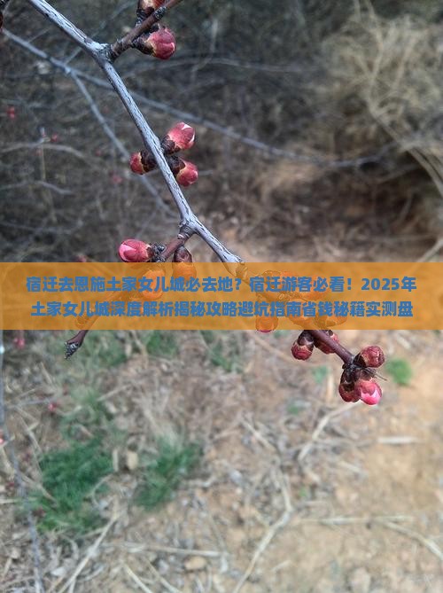 宿迁去恩施土家女儿城必去地