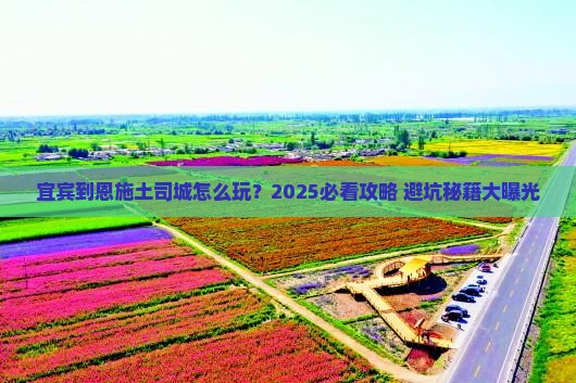 宜宾到恩施土司城旅行社