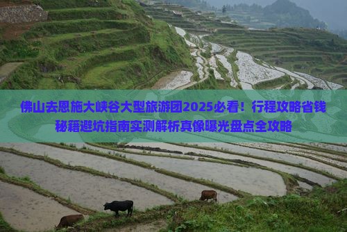 佛山去恩施大峡谷大型旅游团