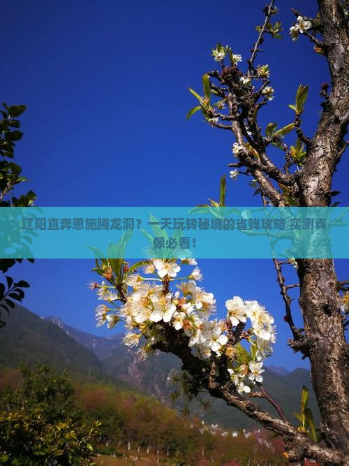 辽阳到恩施腾龙洞一日
