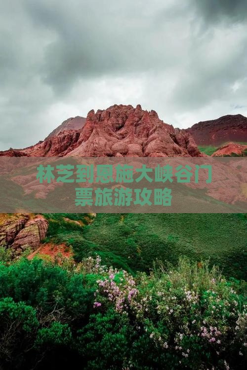 林芝去恩施大峡谷门票