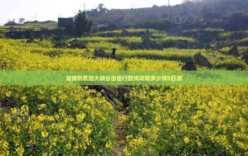 淄博到恩施大峡谷自由行