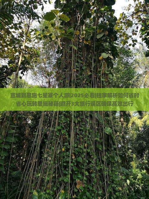 宣城到恩施七星寨个人游