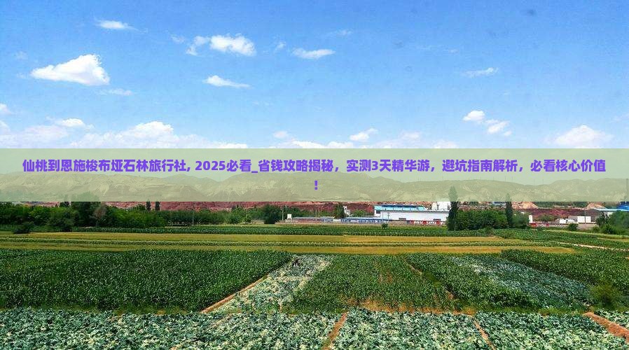 仙桃到恩施梭布垭石林旅行社