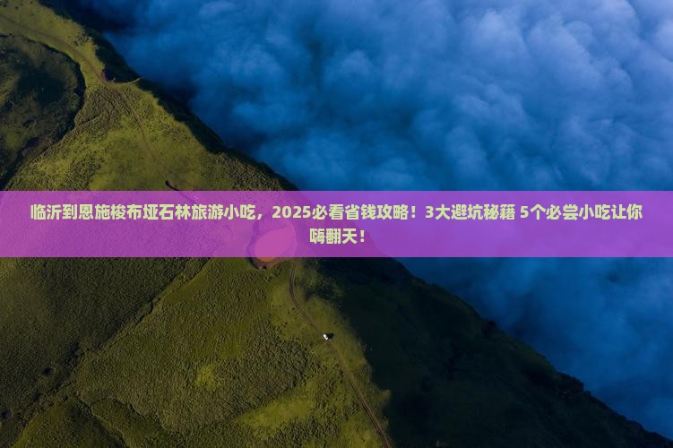 临沂到恩施梭布垭石林旅游小吃