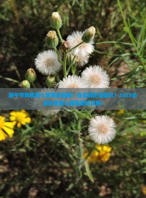 端午节到恩施七星寨自由团