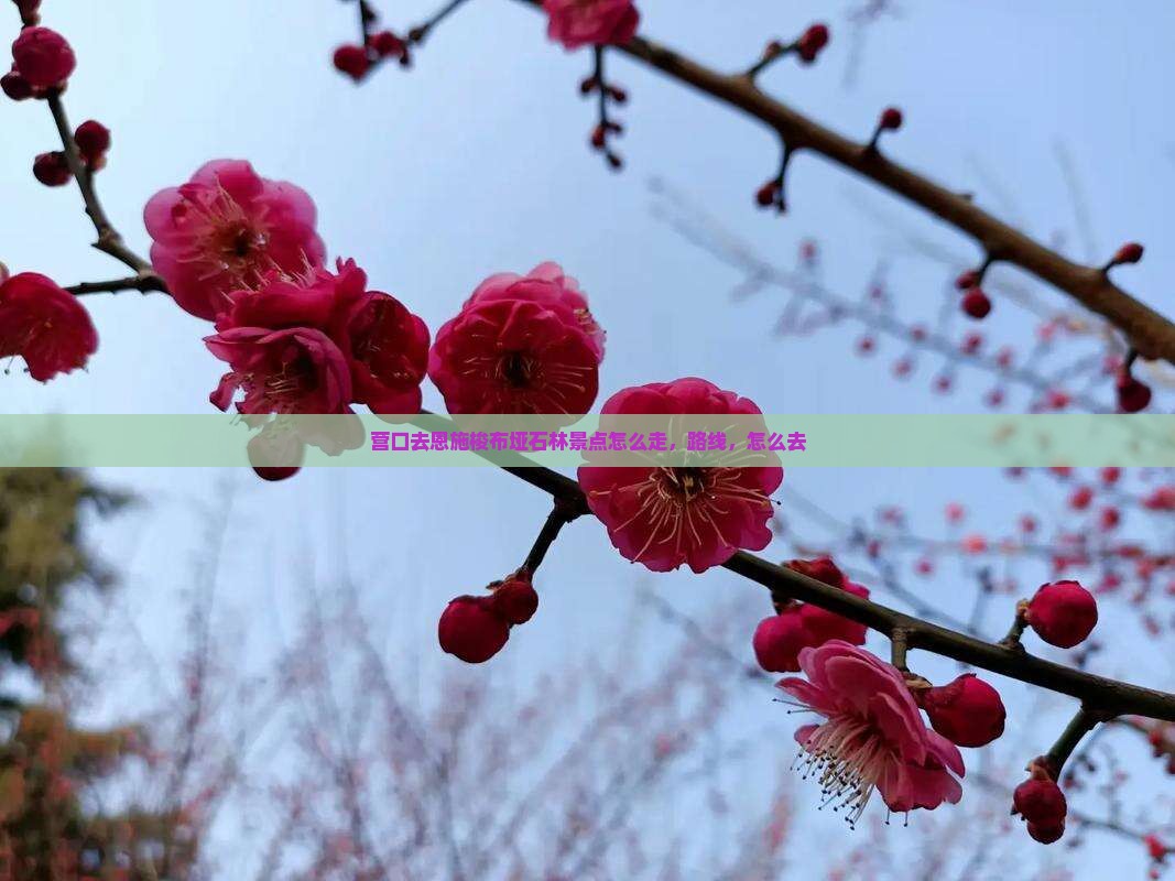 营口去恩施梭布垭石林景点