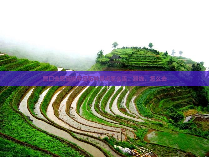 营口去恩施梭布垭石林景点