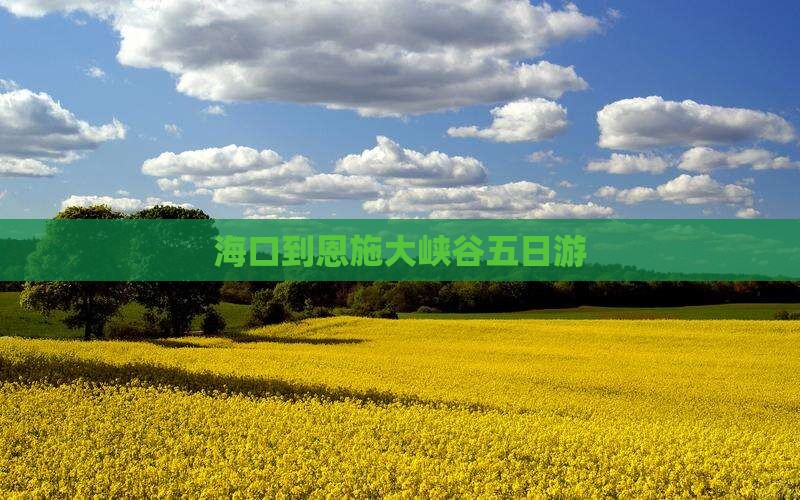 海口到恩施大峡谷五日游
