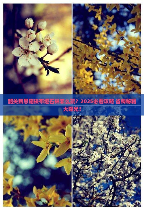 韶关到恩施梭布垭石林攻略