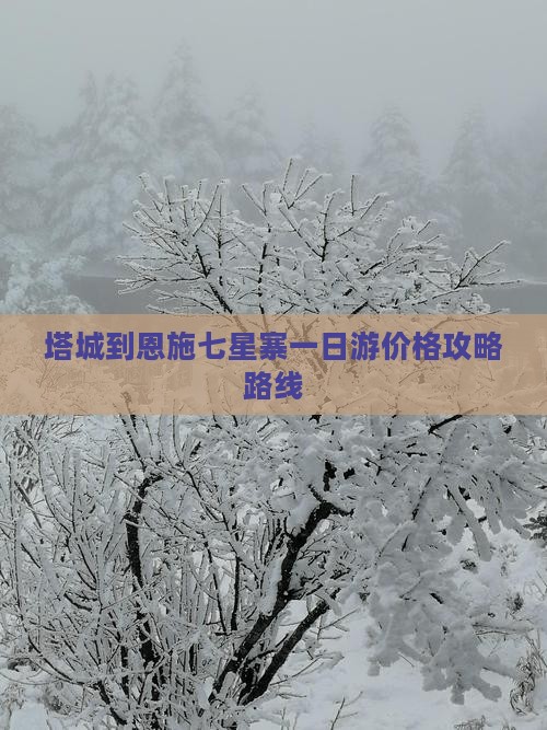 塔城到恩施七星寨一日