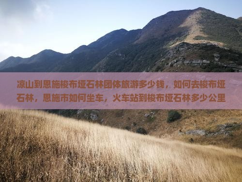 凉山到恩施梭布垭石林团体旅游