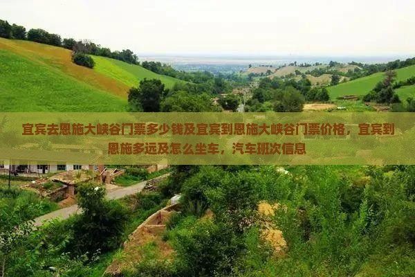 宜宾去恩施大峡谷门票