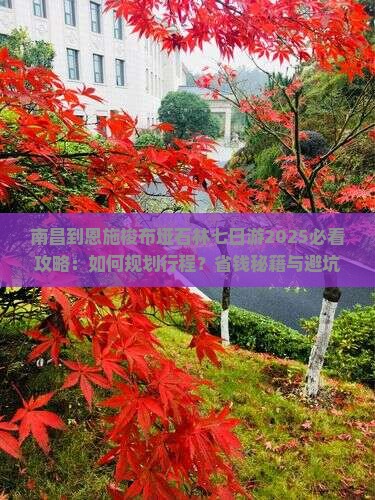 南昌到恩施梭布垭石林七日游