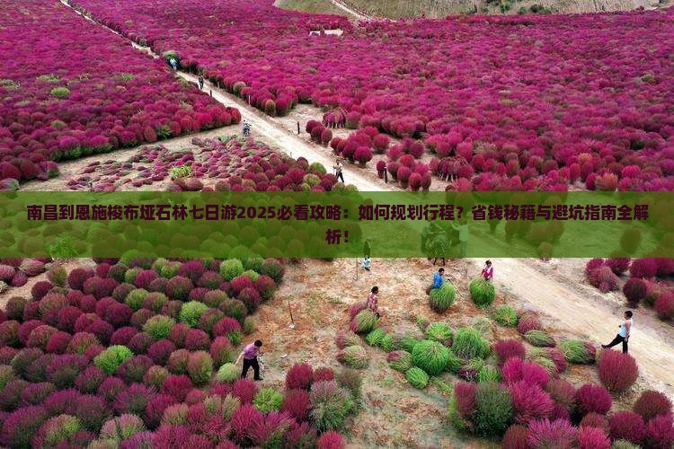 南昌到恩施梭布垭石林七日游
