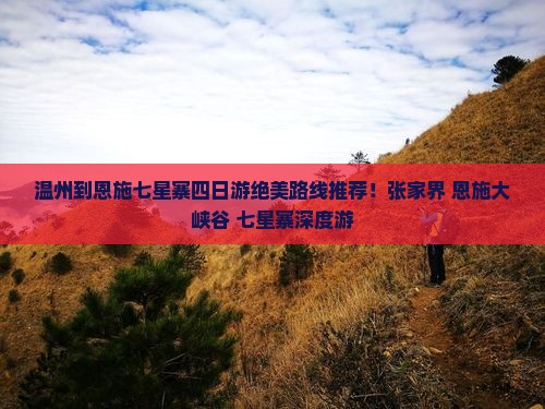 温州到恩施七星寨四日游