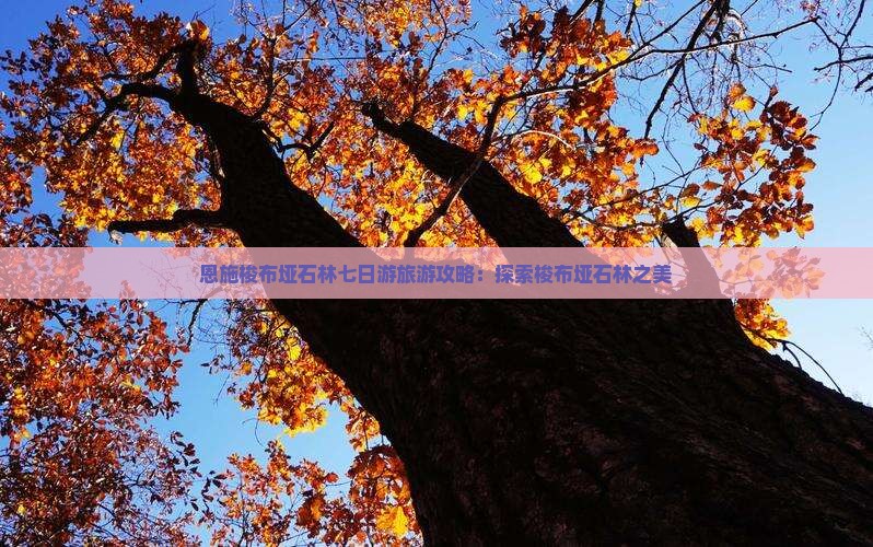 黑河到恩施梭布垭石林七日游