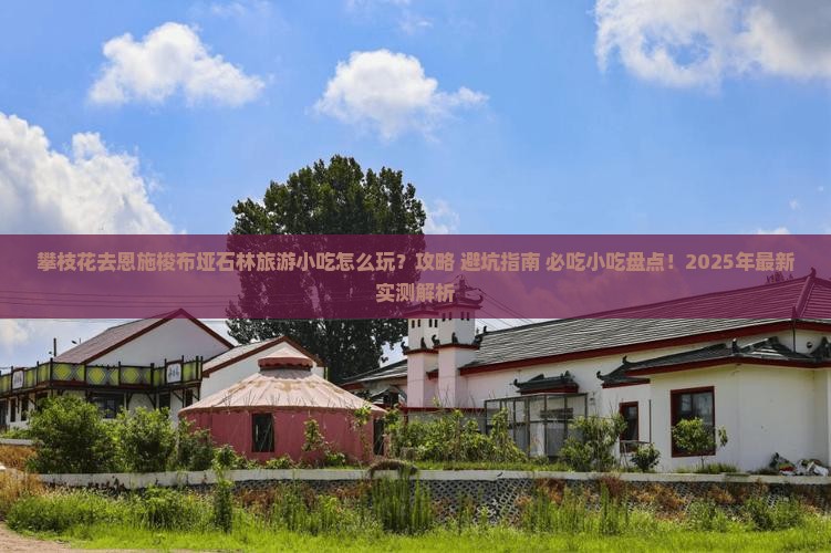 攀枝花去恩施梭布垭石林旅游小吃