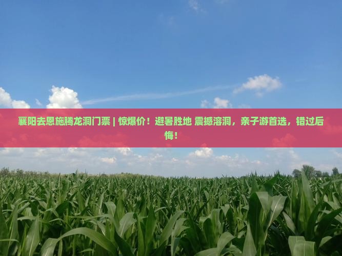 襄阳去恩施腾龙洞门票