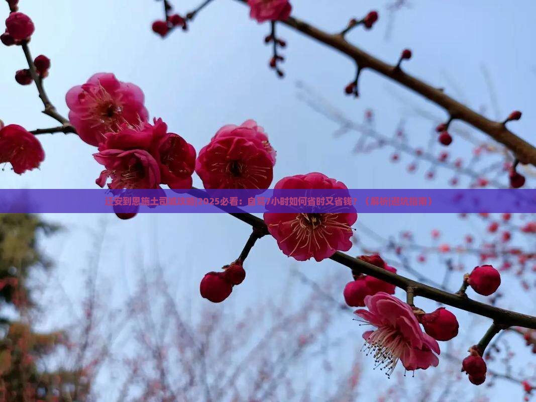 迁安到恩施土司城攻略