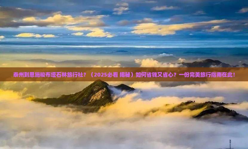 泰州到恩施梭布垭石林旅行社
