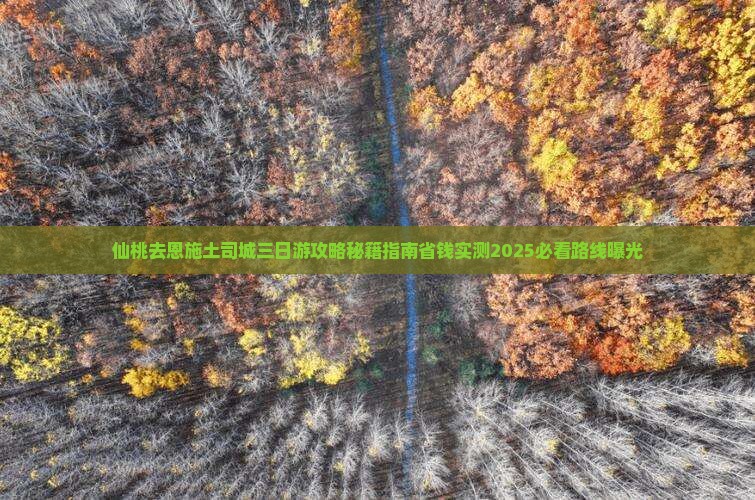 仙桃去恩施土司城三日游