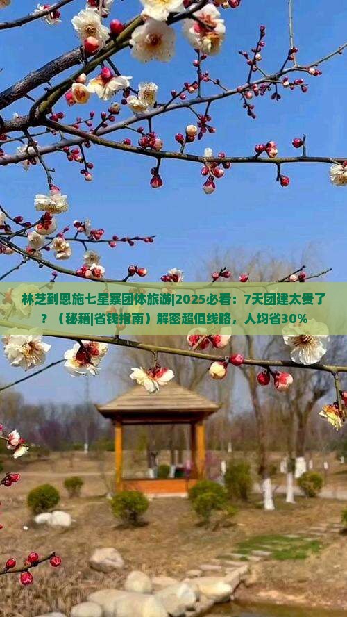 林芝到恩施七星寨团体旅游