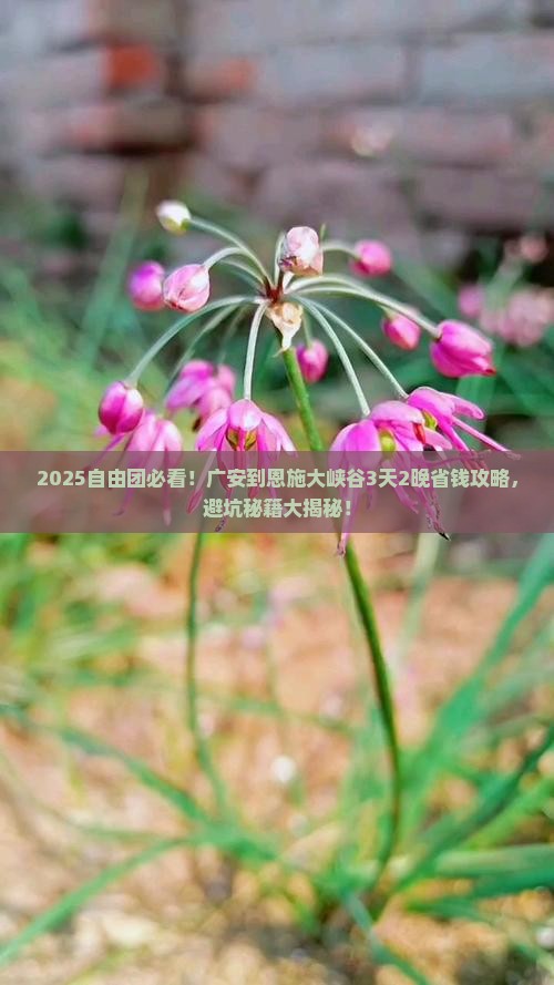 广安到恩施大峡谷自由团