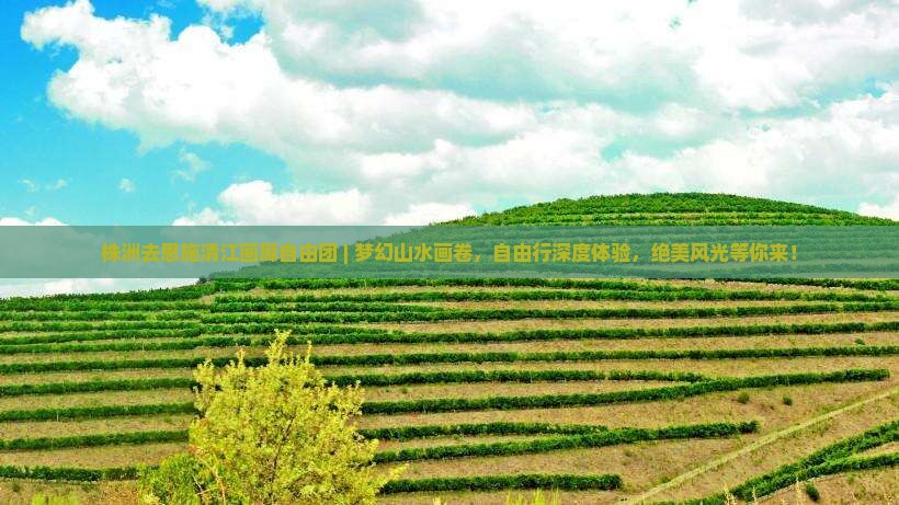 株洲去恩施清江画廊自由团
